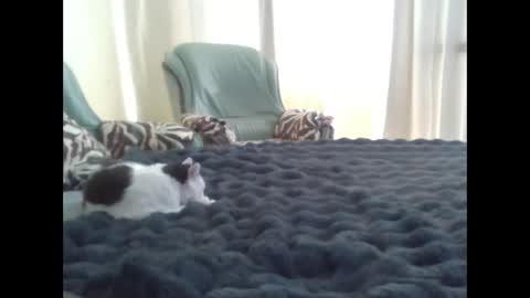 suni online show from 03/10/25, 11:42