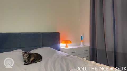Amy online show from 06/04/26, 04:35