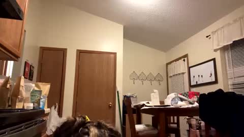 Snapshot of sunnbabe92485 chatting on 09/11/25, 02:44 sunnbabe92485 online show from 09/11/25, 02:44