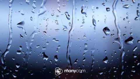 sven online show from 01/12/26, 06:24