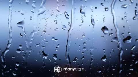 sven online show from 02/04/26, 06:58