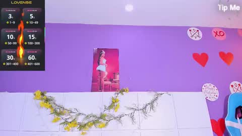      online show from 02/15/25, 08:54