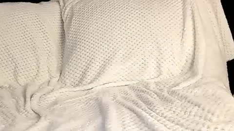 Snapshot of sunshine_days chatting on 03/12/25, 10:17 Annie online show from 03/12/25, 10:17