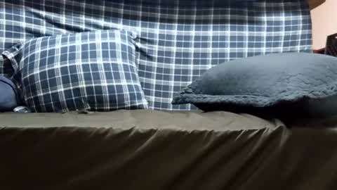 Super dave88 online show from 09/28/25, 10:53