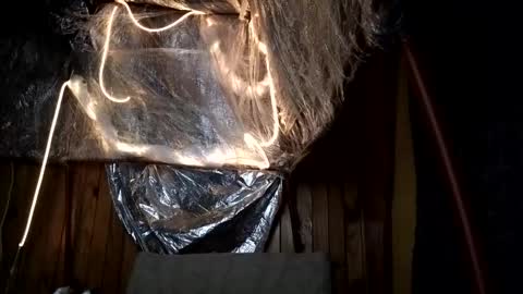 super jony and Marta GMT 1300-1800 every day online show from 10/01/25, 02:17