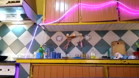 super jony and Marta GMT 1300-1800 every day online show from 11/13/25, 03:55