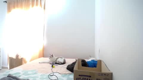 Susana online show from 01/23/25, 04:59