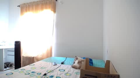 Susana online show from 02/09/25, 06:37