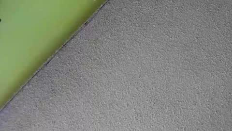 sussan_nasty online show from 12/16/25, 01:38