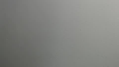 Snapshot of sussy_leon chatting on 01/28/25, 12:11 sussy leon online show from 01/28/25, 12:11