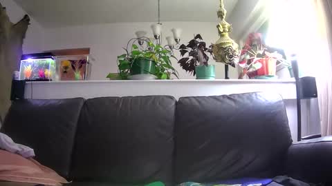 Otto online show from 01/16/26, 05:33