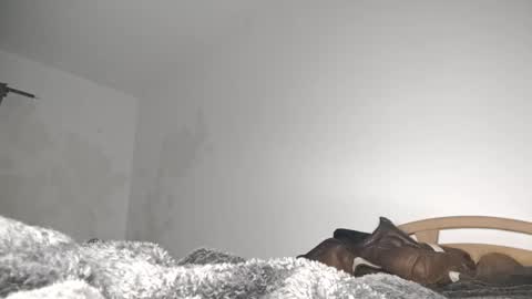 suzuki1250 online show from 03/06/26, 09:06