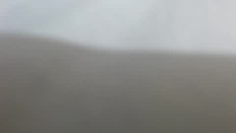 Snapshot of suzyblack4 chatting on 02/17/26, 12:34 Suzy online show from 02/17/26, 12:34