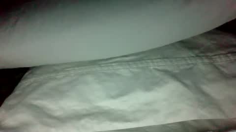 Snapshot of swampdonkey419 chatting on 02/19/25, 11:28 swampdonkey419 online show from 02/19/25, 11:28