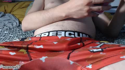 swanou87 online show from 01/25/25, 11:43