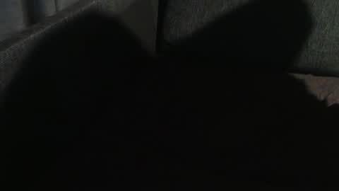 Snapshot of swartarn chatting on 01/07/25, 11:03 ArnSwart online show from 01/07/25, 11:03