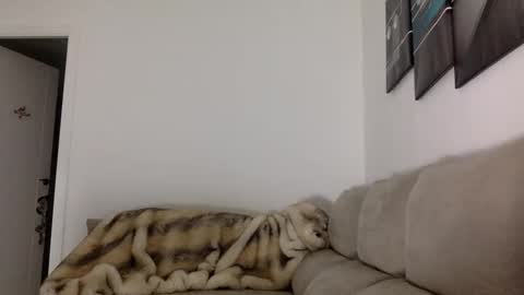 ALBA online show from 11/14/25, 05:44