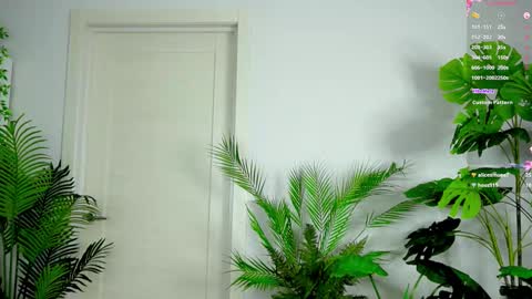 Snapshot of sweet__piece chatting on 10/03/25, 03:31 Alice online show from 10/03/25, 03:31