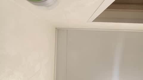 Snapshot of sweet_dreams88888 chatting on 02/14/25, 10:17 Samanta online show from 02/14/25, 10:17