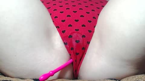 Kitten online show from 05/17/26, 08:23