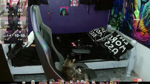 Snapshot of sweet_kitty66 chatting on 09/20/25, 11:28 elizabeth grey online show from 09/20/25, 11:28