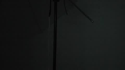 sweetandwilld online show from 07/01/26, 11:01