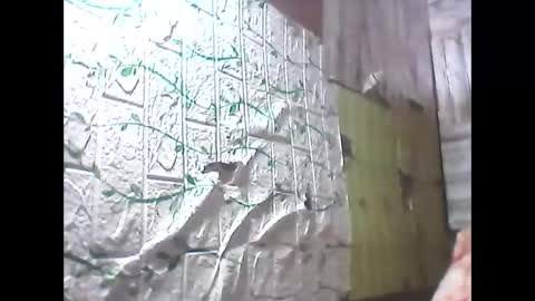 sweetava08 online show from 05/19/26, 12:27