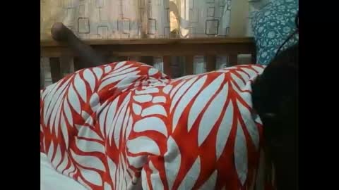 Snapshot of sweetblacklady chatting on 11/25/25, 07:08 MELVIN online show from 11/25/25, 07:08