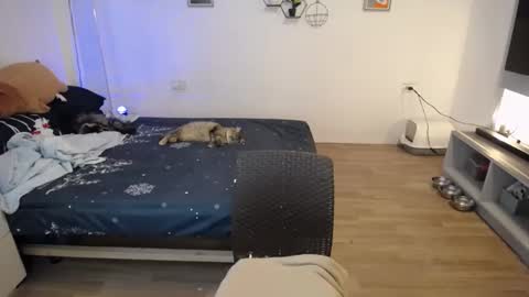 angel 3 online show from 01/21/25, 04:48