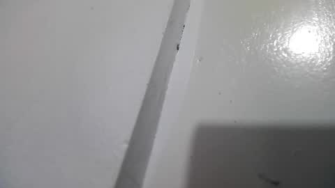 Stacy online show from 04/13/26, 03:06