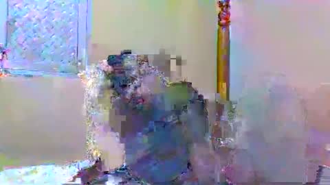 Snapshot of sweetib1 chatting on 01/04/25, 05:05 sweetib1 online show from 01/04/25, 05:05