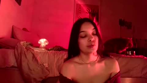 Snapshot of sweetieslikebutter chatting on 12/17/24, 04:56 Blu Sweets online show from 12/17/24, 04:56