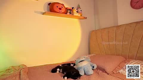 Venus online show from 03/17/26, 07:17