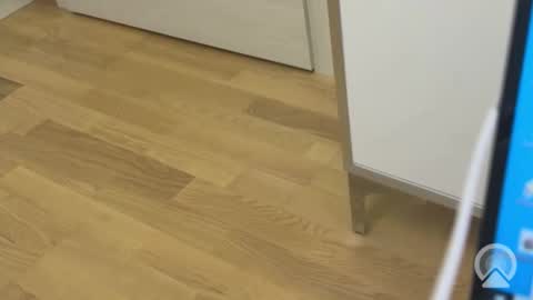 Snapshot of sweetlovelyladylove chatting on 04/15/26, 08:32 sweetlovelyladylove online show from 04/15/26, 08:32