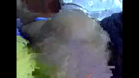 sweetnanna online show from 06/04/26, 07:25
