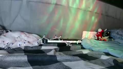 April online show from 01/12/26, 09:03