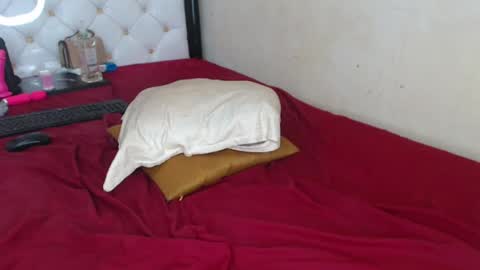 Snapshot of sweetslyvie chatting on 07/13/26, 12:19 sweetslyvie online show from 07/13/26, 12:19