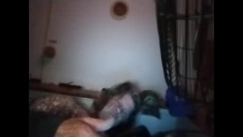 sweetsugar64 online show from 03/08/26, 06:17