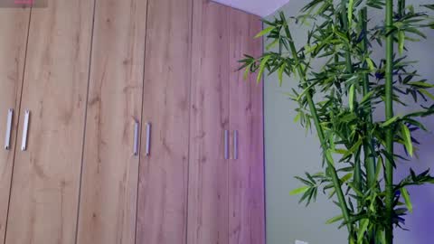    online show from 01/23/25, 04:48