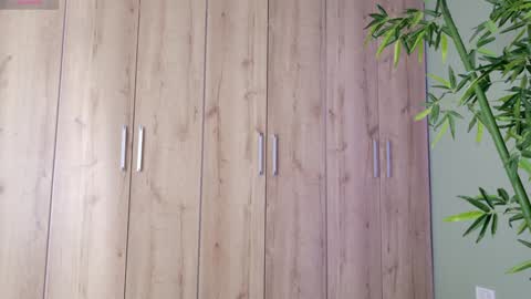    online show from 01/25/25, 04:35