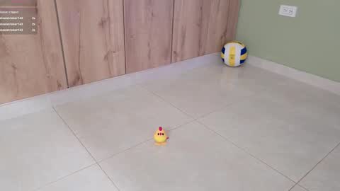    online show from 02/11/25, 10:39