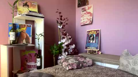 swettcabol online show from 01/28/25, 05:35