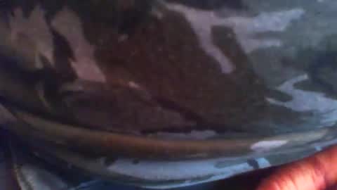 swils67 online show from 04/20/26, 05:05