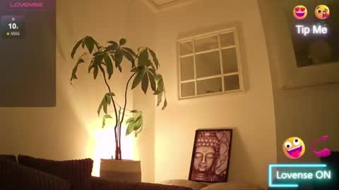 switchienickie online show from 06/25/26, 11:31