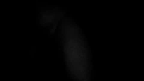 swollpole2112 online show from 03/10/26, 05:01