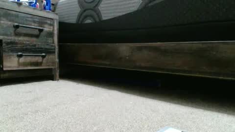 sxtn002 online show from 12/20/24, 01:25