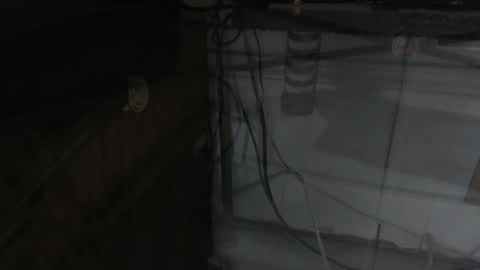 sxulx2c online show from 12/14/24, 06:24