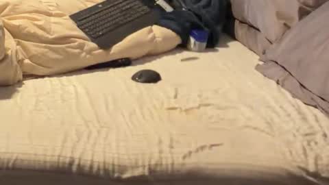 SissyDenver online show from 12/18/25, 11:05