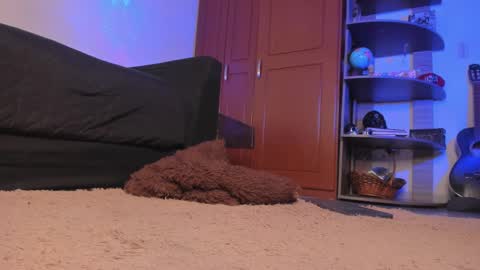 Syd online show from 12/18/24, 02:32