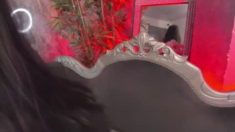 Sydney online show from 03/25/26, 11:22